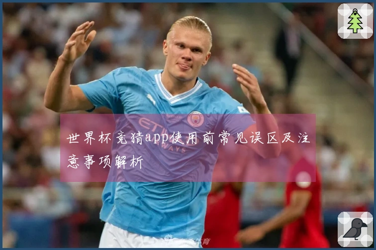 世界杯竞猜app使用前常见误区及注意事项解析