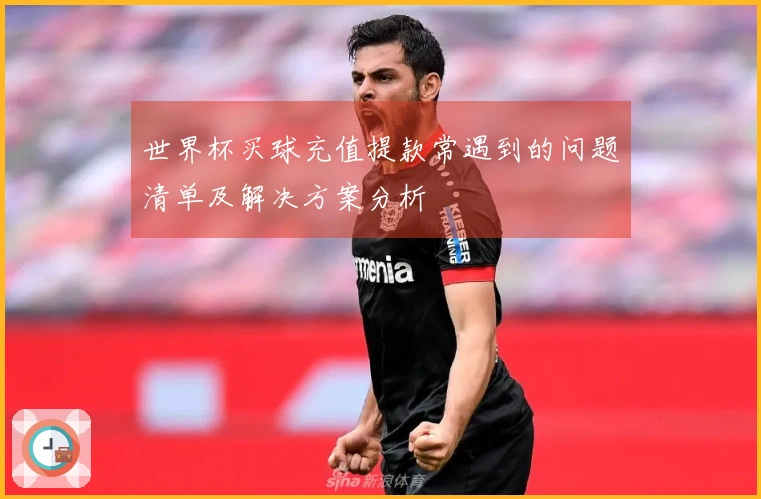 世界杯买球充值提款常遇到的问题清单及解决方案分析