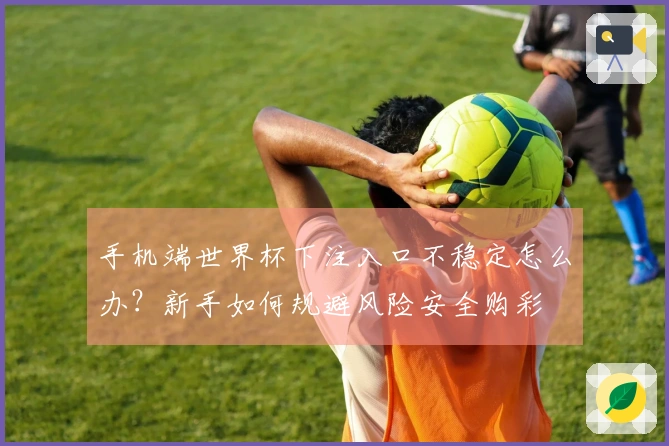手机端世界杯下注入口不稳定怎么办？新手如何规避风险安全购彩