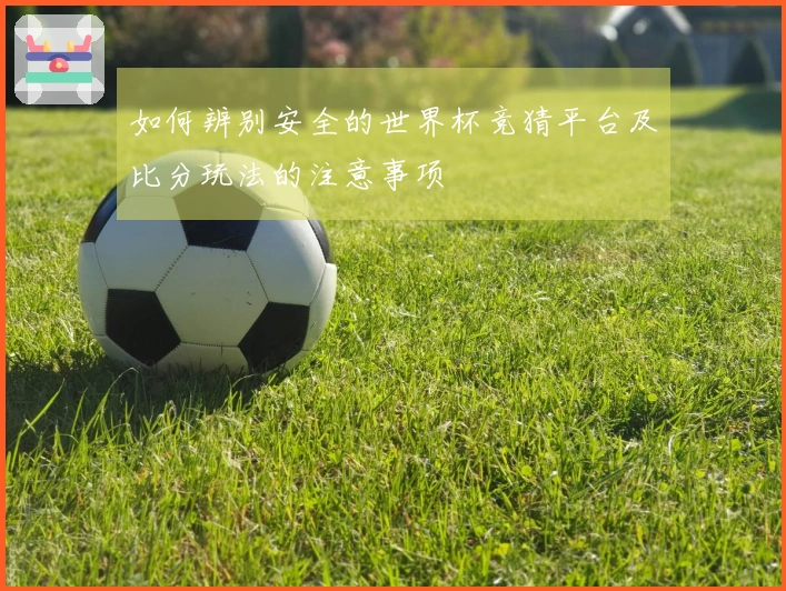 如何辨别安全的世界杯竞猜平台及比分玩法的注意事项