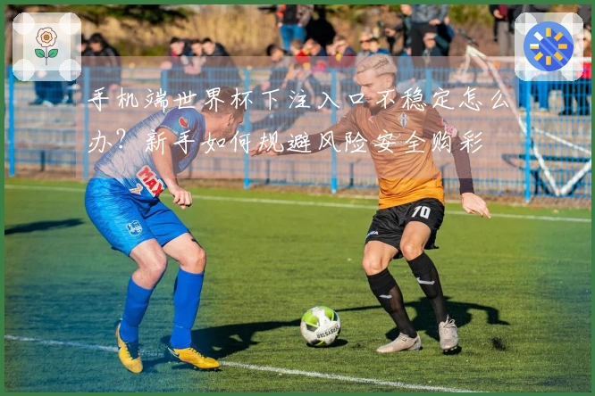 手机端世界杯下注入口不稳定怎么办？新手如何规避风险安全购彩